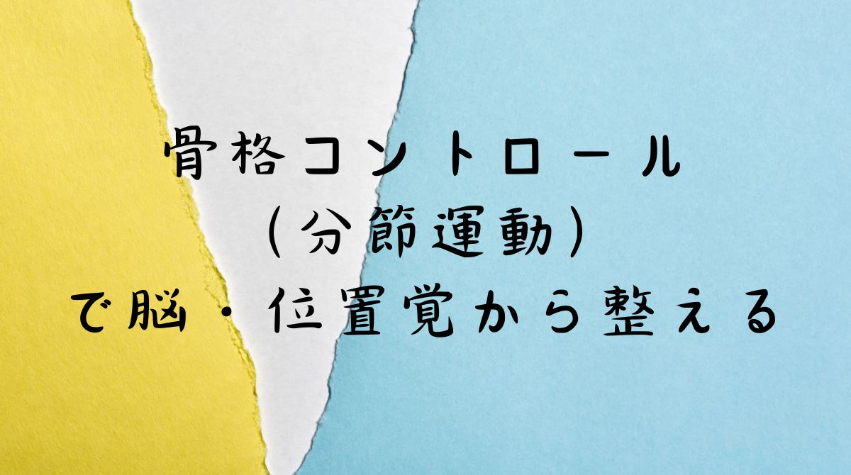 骨格コントロール・分節運動と位置覚